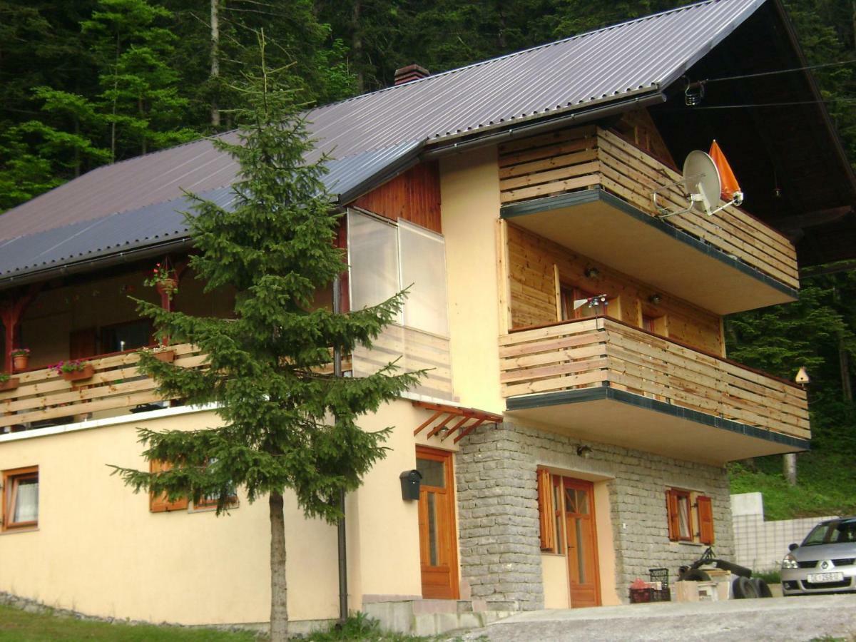 Apartment Medo
