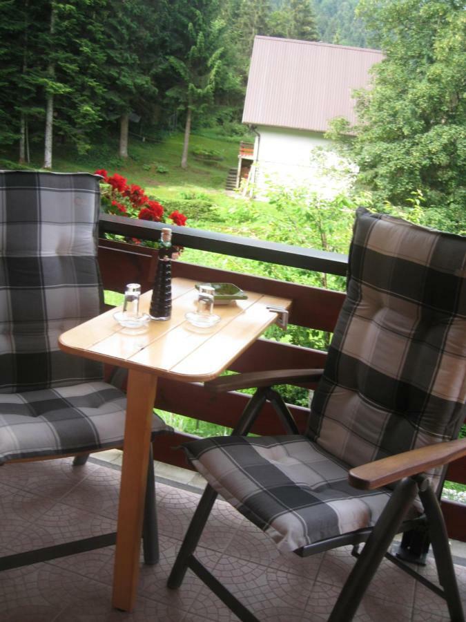 Apartment Medo Ravna Gora